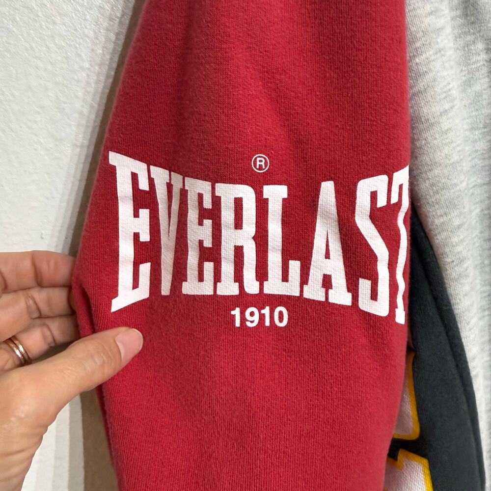 Zara x Everlast Colorblock Graphic Hoodie Pullover Sz M - Picture 6 of 14
